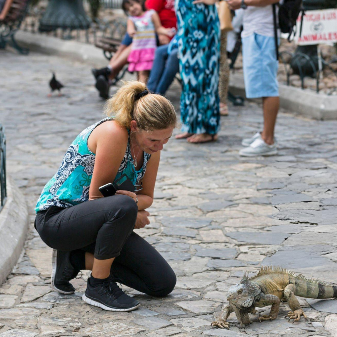 Guayaquil historic walking tour