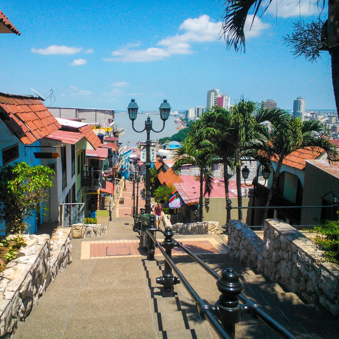 Tour Guayaquil: the ultimate guide to tourist attractions