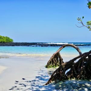Santa Cruz Adventure: Wildlife & Scenic Landscapes