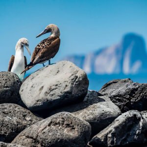 San Cristobal: Wildlife & Scenic Landscapes