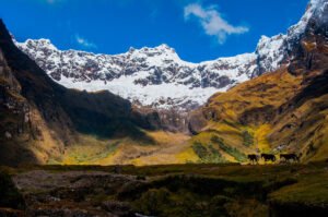 Tres lugares mágicos para acampar en Ecuador.