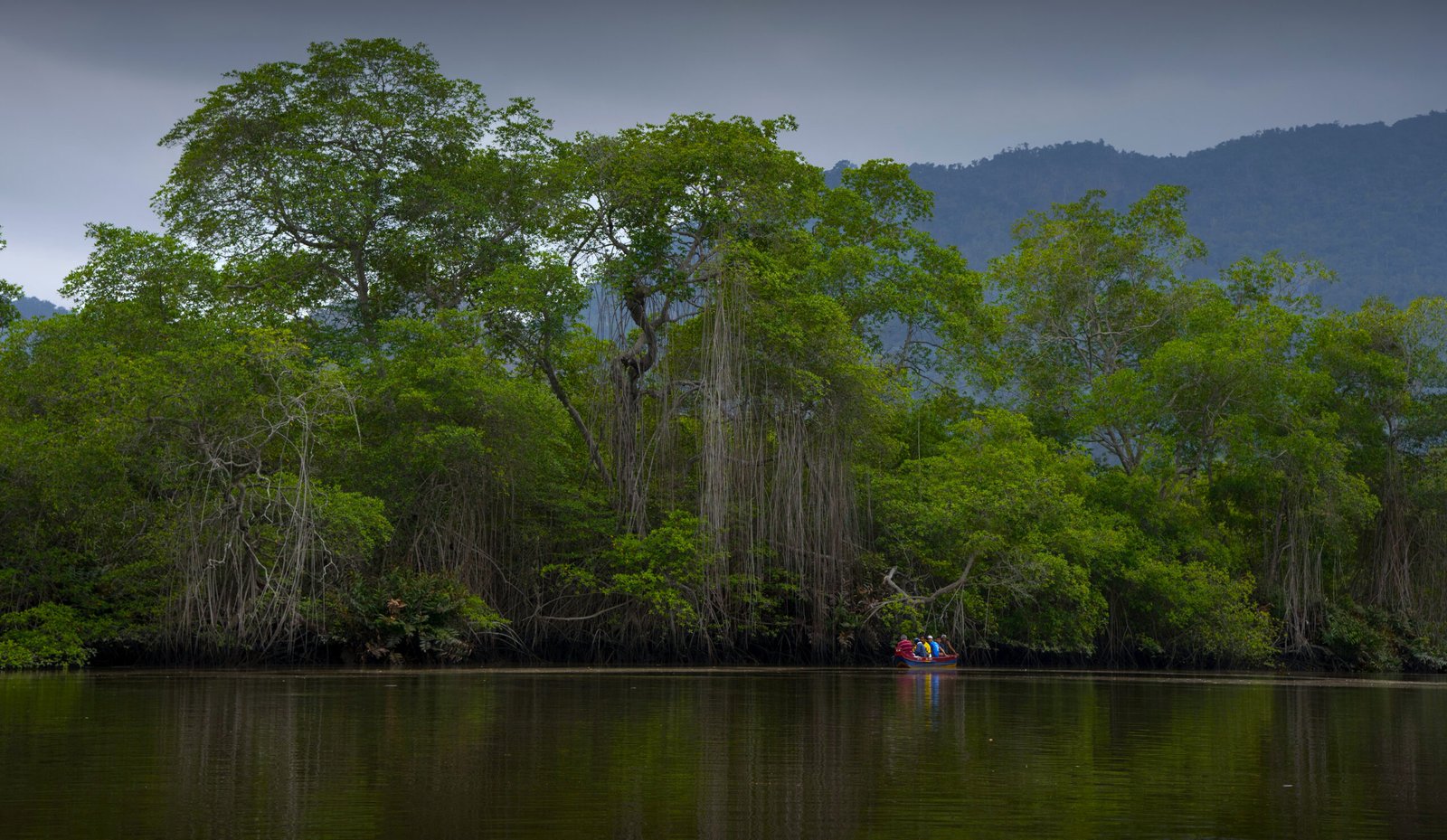 Tour a la Reserva Ecológica Manglares Churute desde Guayaquil