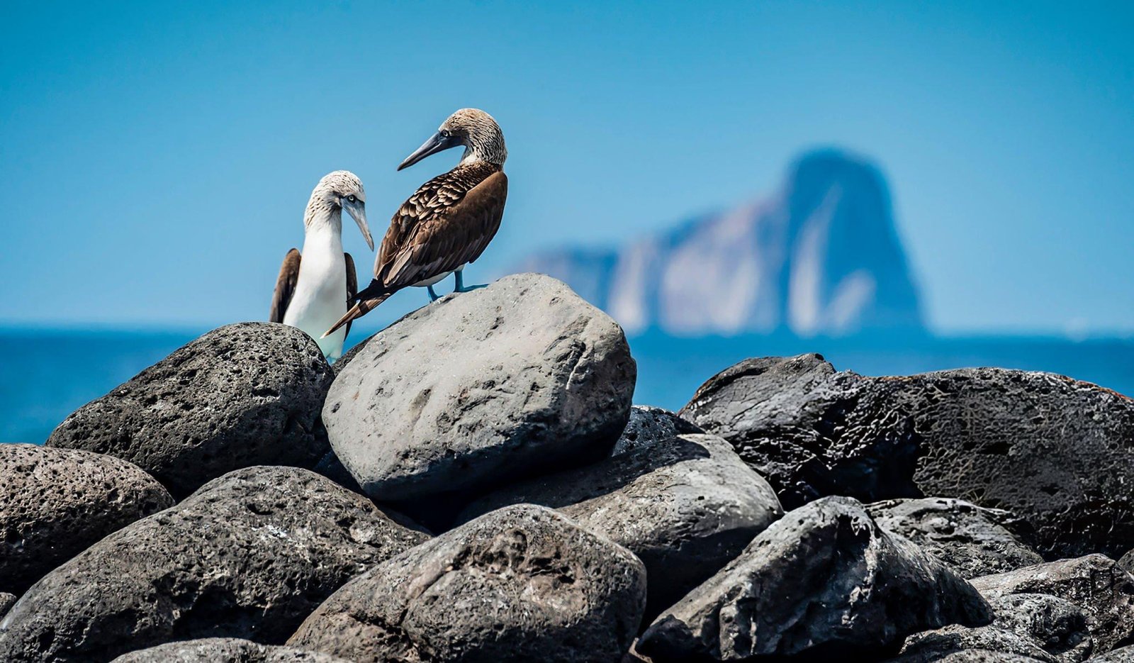 San Cristóbal Adventure: Vida Silvestre y Paisajes de Galápagos