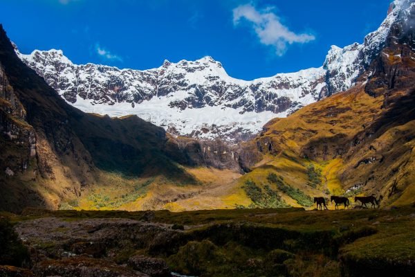 Tres lugares mágicos para acampar en Ecuador.